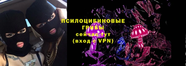 стаф Новокубанск