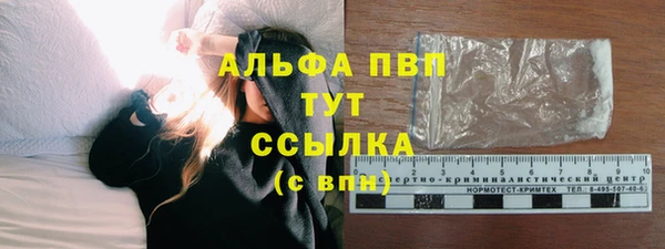 стаф Новокубанск
