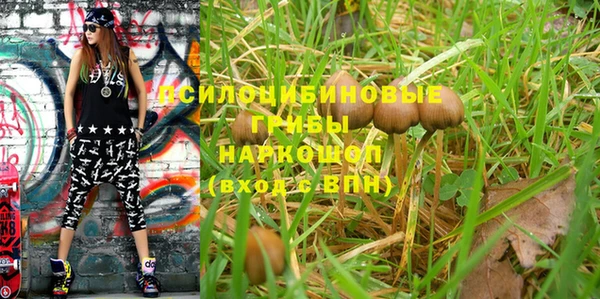 ешки Нефтекумск