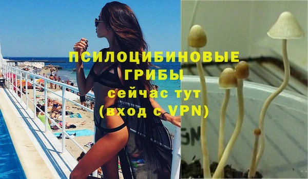 2c-b Костерёво
