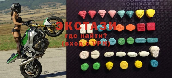 ECSTASY Гусь-Хрустальный