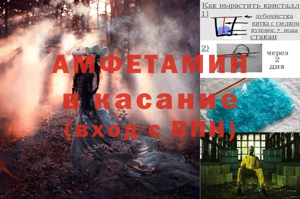 стаф Новокубанск