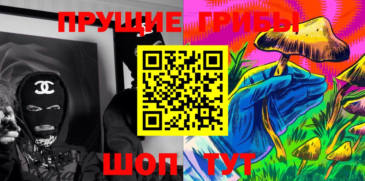 Галлюциногенные грибы прущие грибы  Вологда 