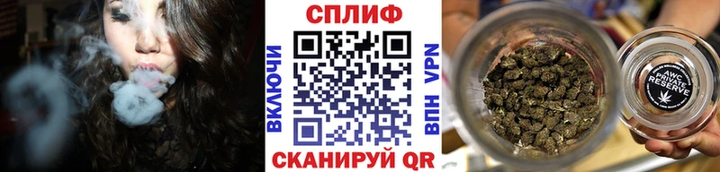 Бошки Шишки планчик  Вологда 